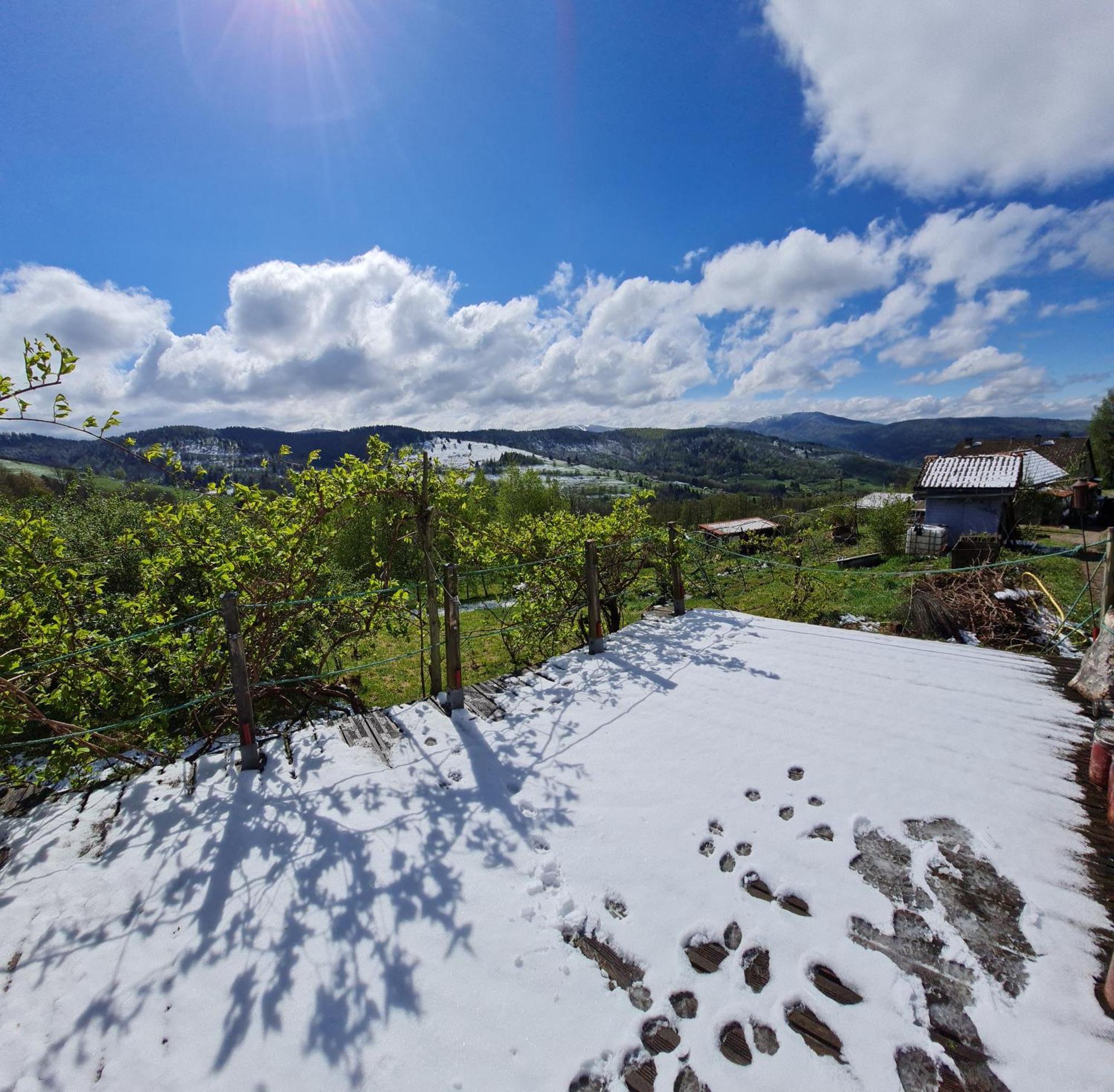 Au Calme Des Vosges Holiday home Fresse-sur-Moselle