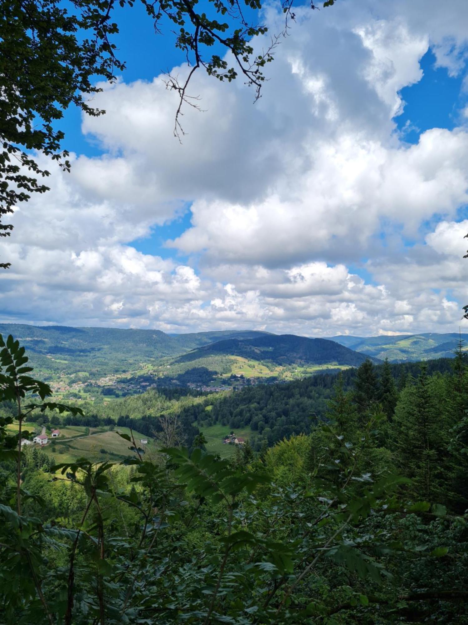 Holiday home Au Calme Des Vosges *