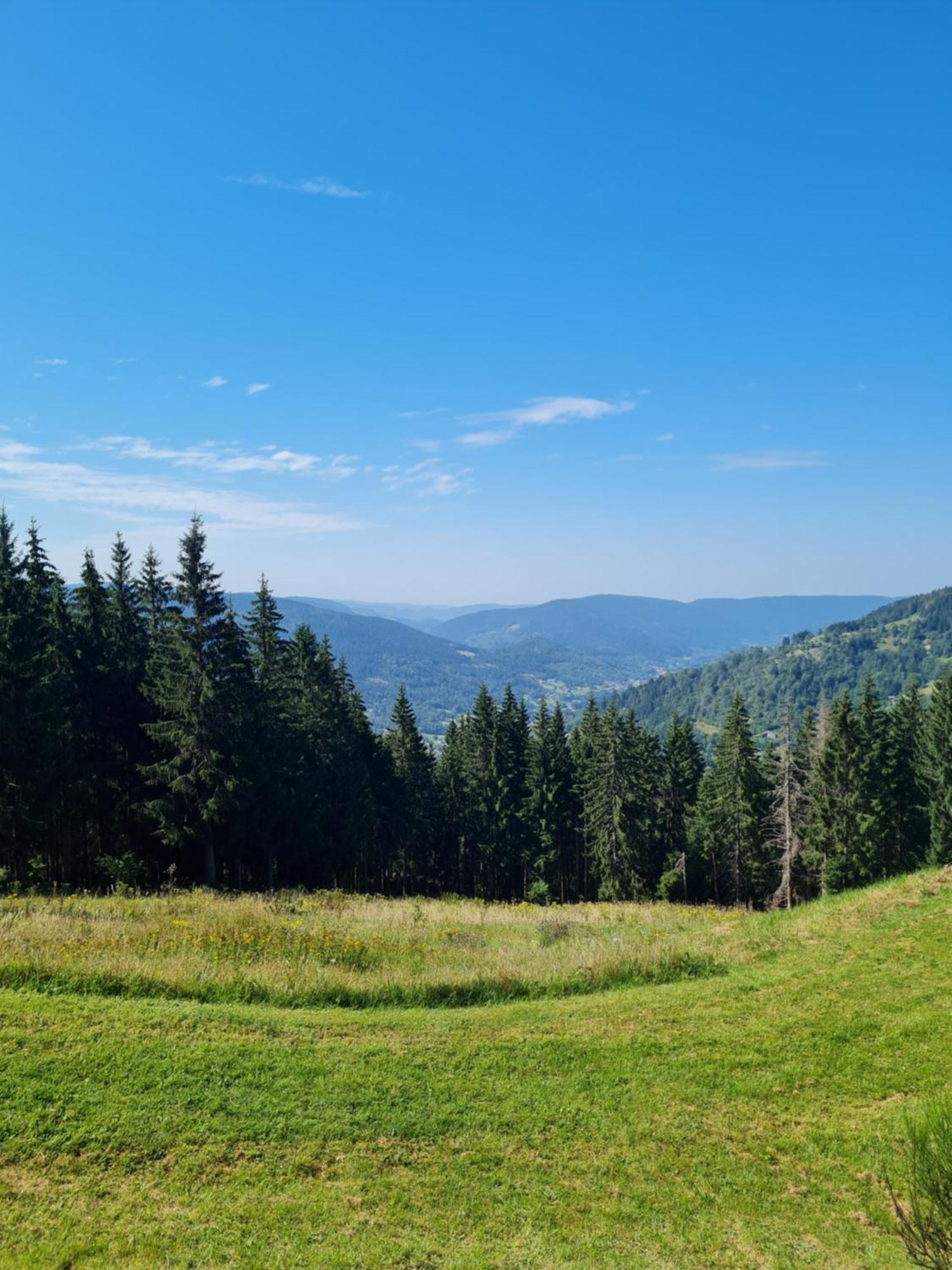 Au Calme Des Vosges Holiday home